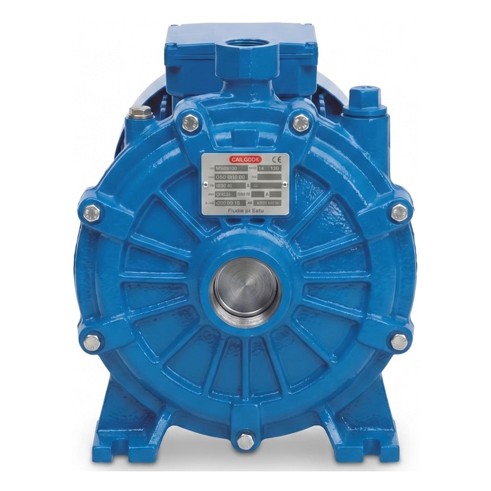 Serie 2C: Elettropompe Centrifughe Bigirante Speroni